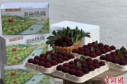 吉时查询高速赋能产业升级：一条“杨梅路”的致富密码