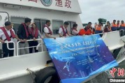 吉时查询浙江今年计划放流种类海洋水生生物苗种超15亿单位